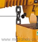 Electric Chain Hoists for sale1-7.jpg
