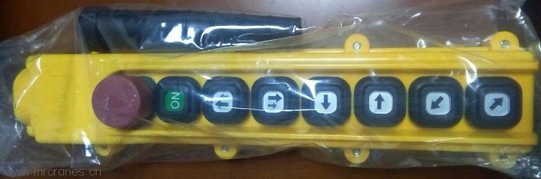 Electric Chain Hoists for sale1-18 (6 push button for dual speed).jpg