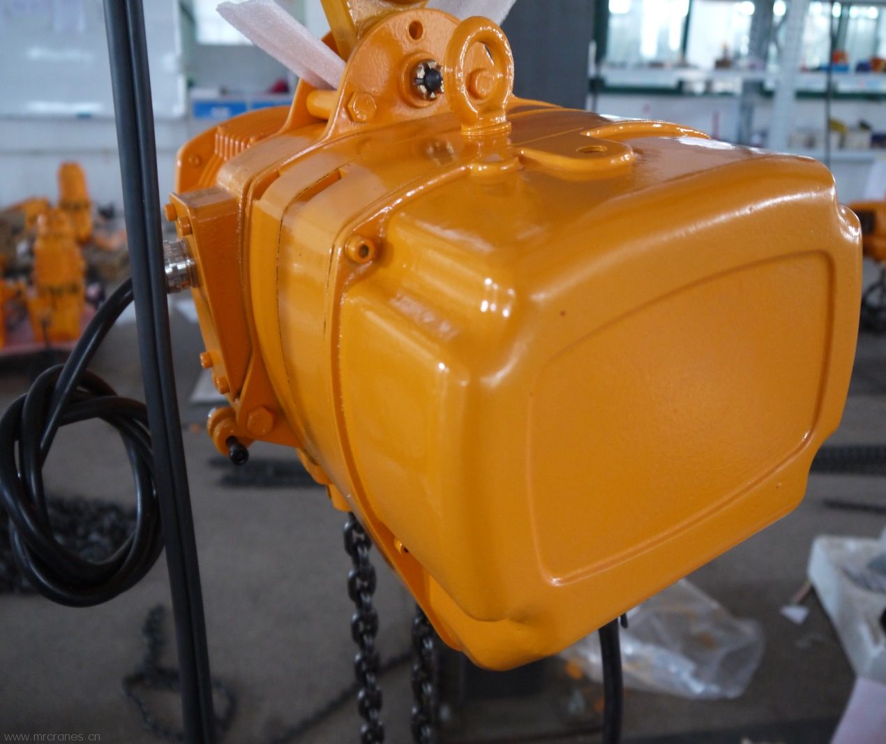 RM Electric Chain Hoists12-3.jpg