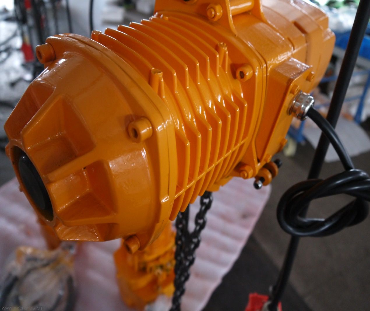 Professional Supplier of RM Electric Chain Hoists12-4.jpg