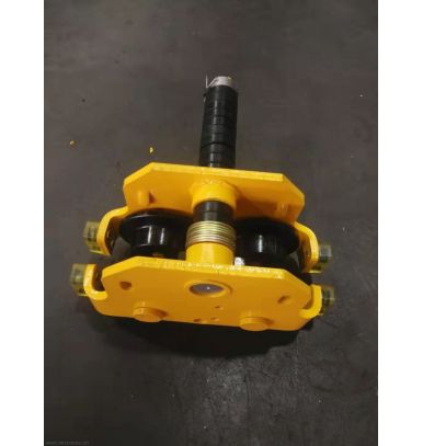 500kg 双速环链电动升降机现场照片