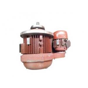 Electric Hoist Double Speed Motor Unit, Mother and Child Motor